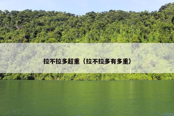 拉不拉多超重（拉不拉多有多重）