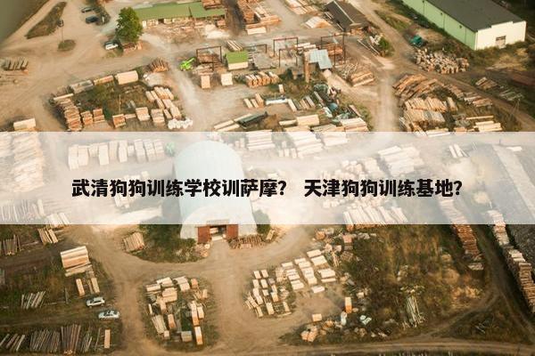 武清狗狗训练学校训萨摩？ 天津狗狗训练基地？