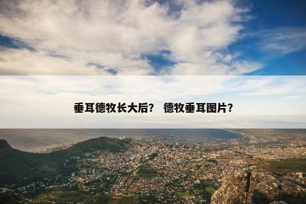 垂耳德牧长大后？ 德牧垂耳图片？