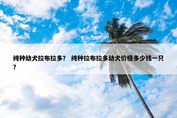 纯种幼犬拉布拉多？ 纯种拉布拉多幼犬价格多少钱一只？
