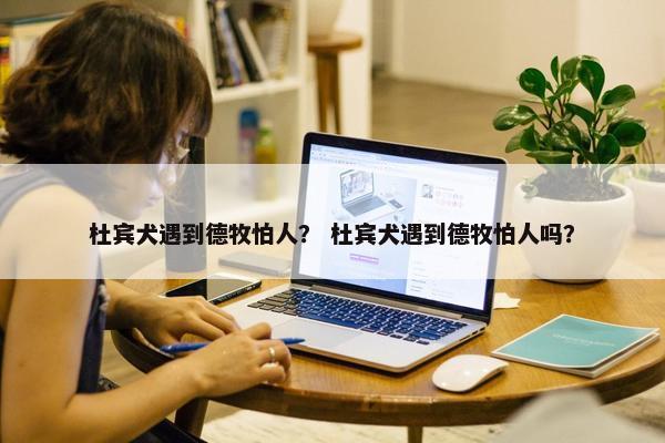 杜宾犬遇到德牧怕人？ 杜宾犬遇到德牧怕人吗？