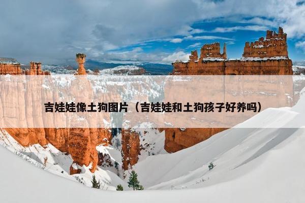 吉娃娃像土狗图片（吉娃娃和土狗孩子好养吗）