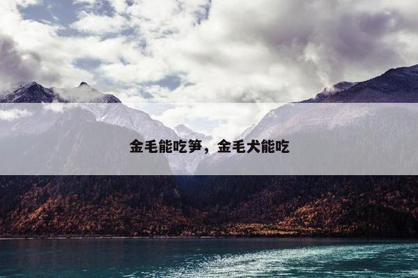 金毛能吃笋，金毛犬能吃