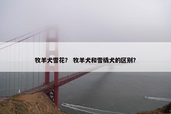 牧羊犬雪花？ 牧羊犬和雪橇犬的区别？