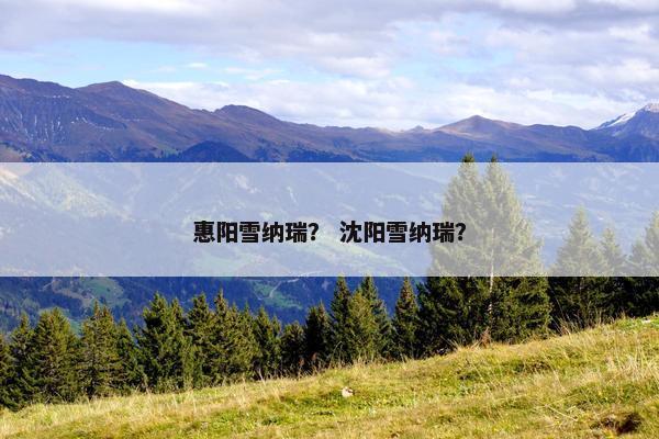惠阳雪纳瑞？ 沈阳雪纳瑞？