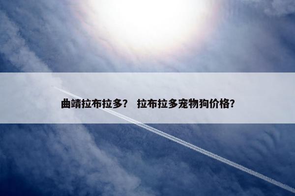 曲靖拉布拉多？ 拉布拉多宠物狗价格？