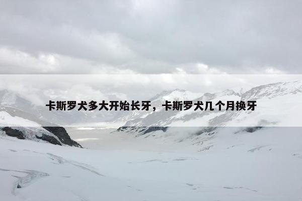 卡斯罗犬多大开始长牙，卡斯罗犬几个月换牙