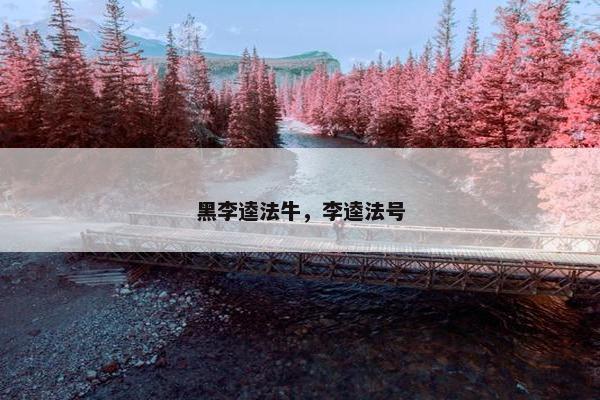 黑李逵法牛，李逵法号