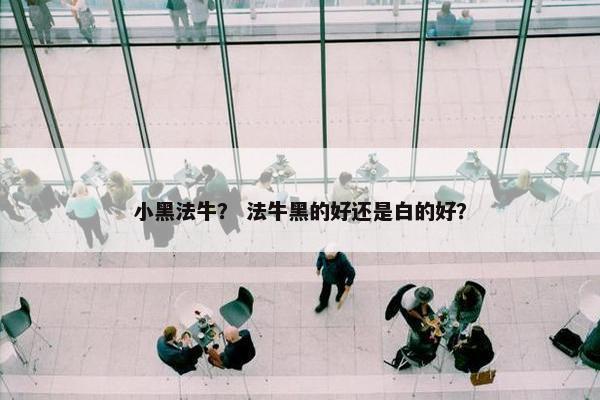 小黑法牛？ 法牛黑的好还是白的好？
