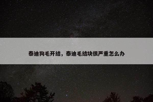 泰迪狗毛开结，泰迪毛结块很严重怎么办