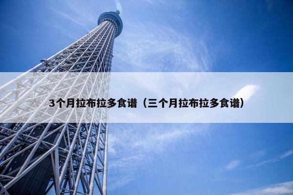 3个月拉布拉多食谱（三个月拉布拉多食谱）