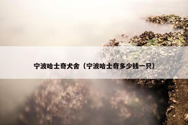 宁波哈士奇犬舍（宁波哈士奇多少钱一只）