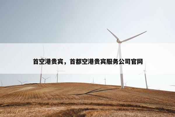 首空港贵宾，首都空港贵宾服务公司官网