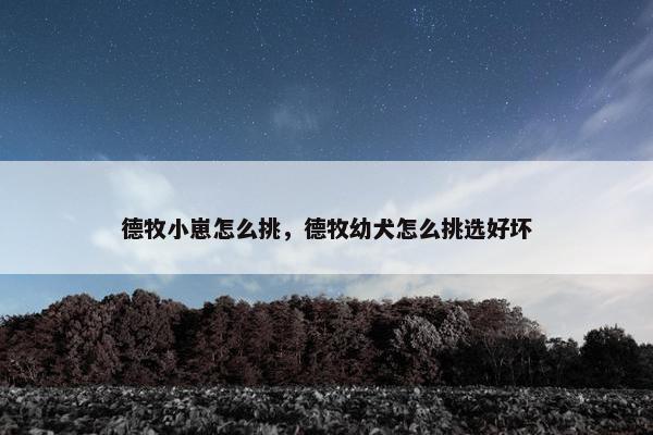 德牧小崽怎么挑，德牧幼犬怎么挑选好坏