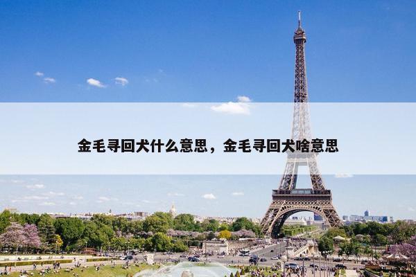 金毛寻回犬什么意思，金毛寻回犬啥意思
