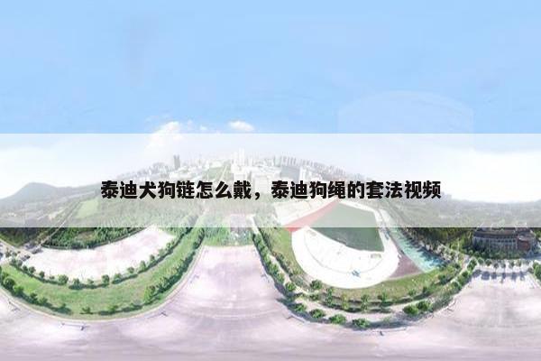 泰迪犬狗链怎么戴，泰迪狗绳的套法视频