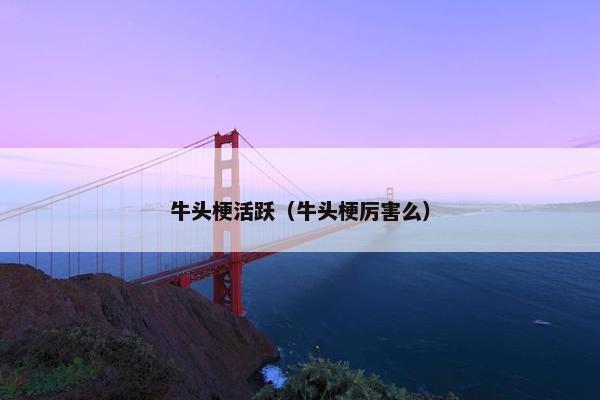 牛头梗活跃（牛头梗厉害么）