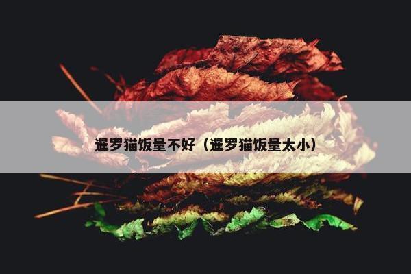 暹罗猫饭量不好（暹罗猫饭量太小）