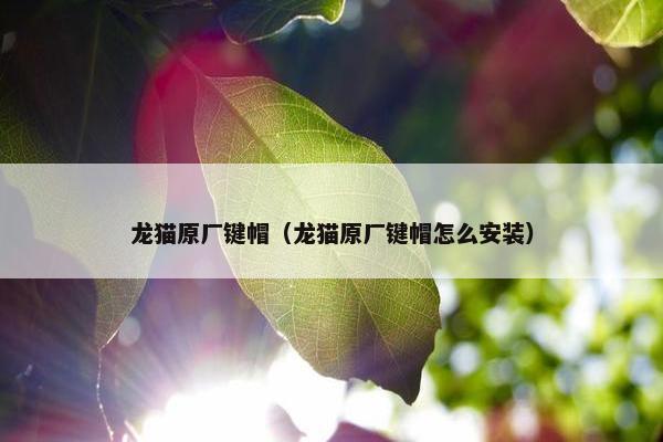 龙猫原厂键帽（龙猫原厂键帽怎么安装）