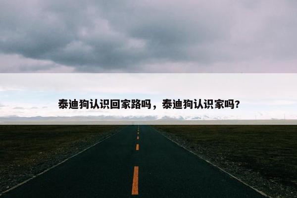 泰迪狗认识回家路吗，泰迪狗认识家吗?