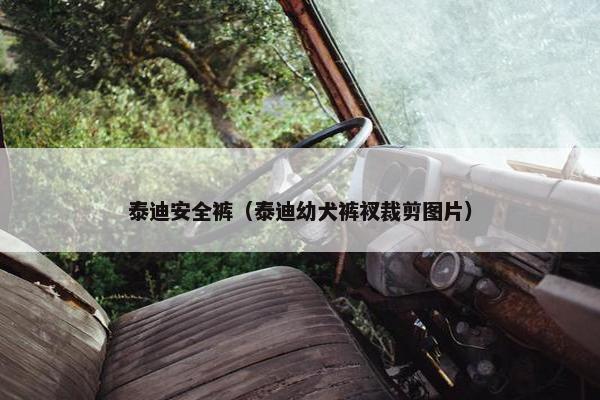 泰迪安全裤（泰迪幼犬裤衩裁剪图片）