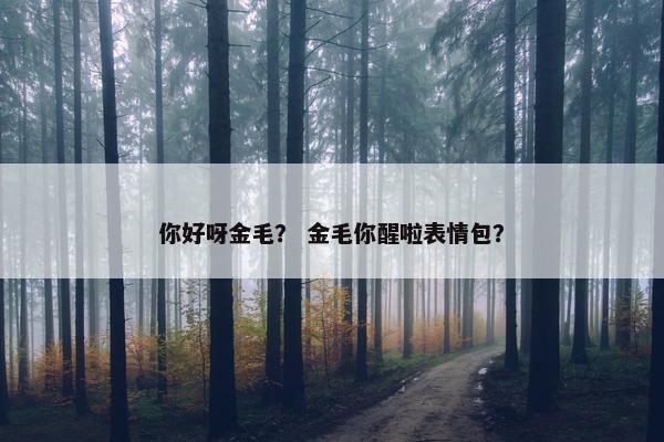 你好呀金毛？ 金毛你醒啦表情包？