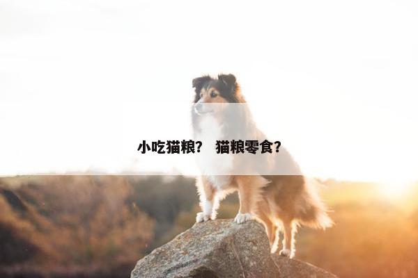 小吃猫粮？ 猫粮零食？