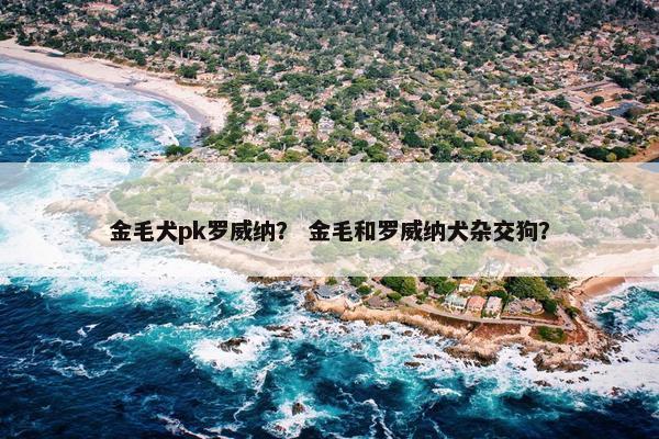 金毛犬pk罗威纳？ 金毛和罗威纳犬杂交狗？