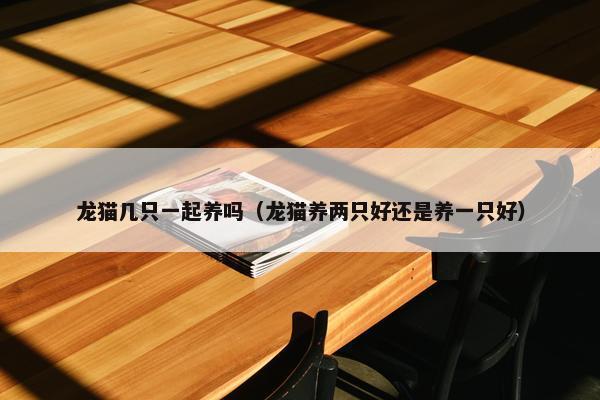 龙猫几只一起养吗（龙猫养两只好还是养一只好）