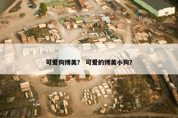 可爱狗博美？ 可爱的博美小狗？