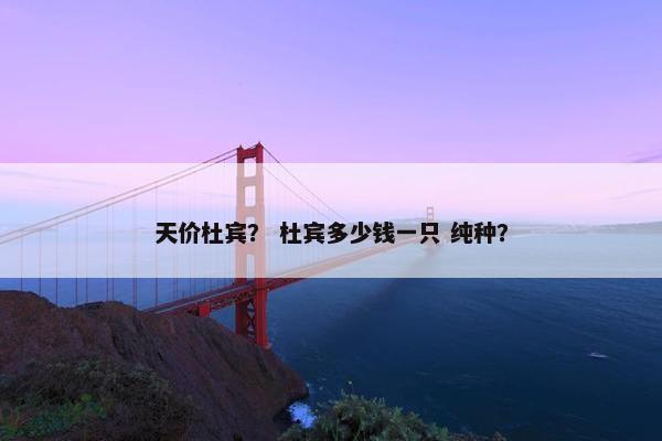天价杜宾？ 杜宾多少钱一只 纯种？