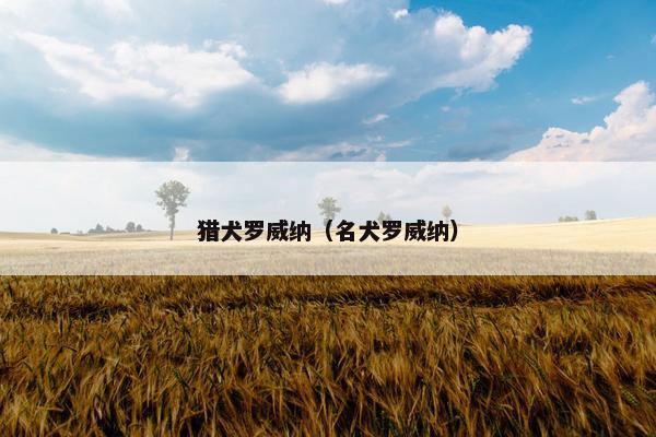 猎犬罗威纳（名犬罗威纳）