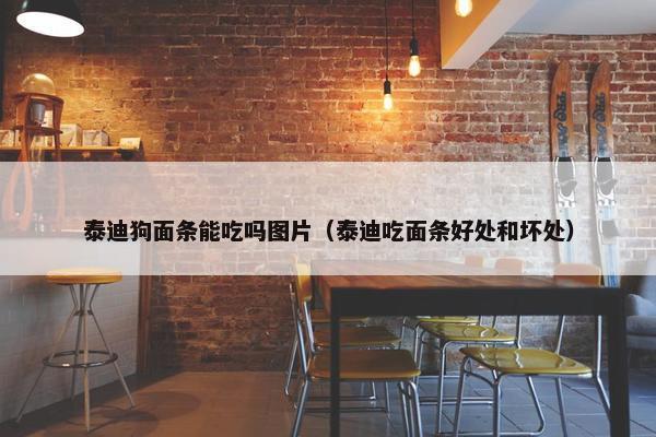 泰迪狗面条能吃吗图片（泰迪吃面条好处和坏处）