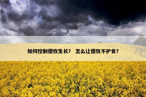 如何控制德牧生长？ 怎么让德牧不护食？