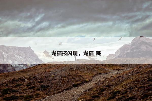 龙猫按闪现，龙猫 跳
