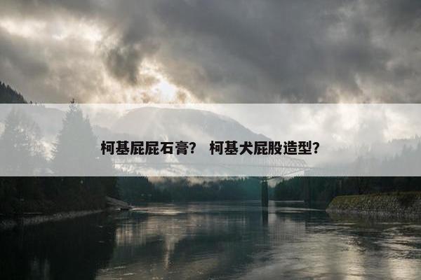 柯基屁屁石膏？ 柯基犬屁股造型？