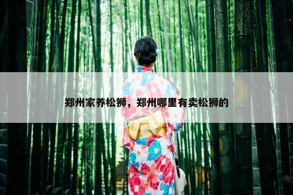 郑州家养松狮，郑州哪里有卖松狮的