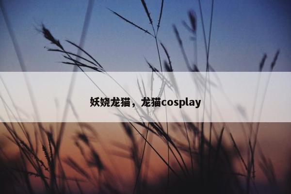 妖娆龙猫，龙猫cosplay