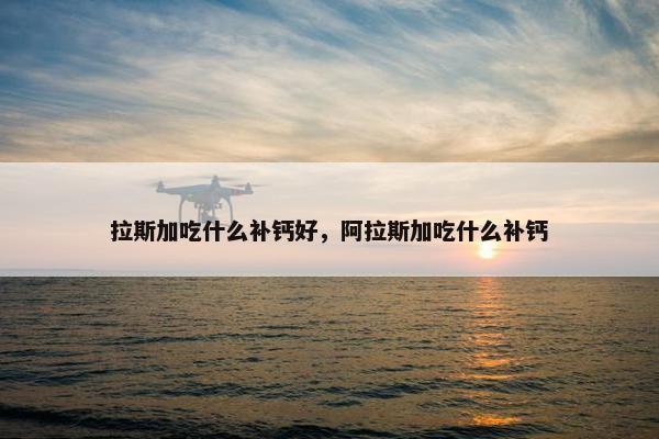 拉斯加吃什么补钙好，阿拉斯加吃什么补钙