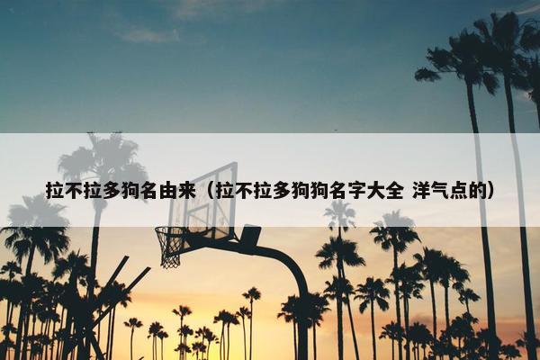 拉不拉多狗名由来（拉不拉多狗狗名字大全 洋气点的）