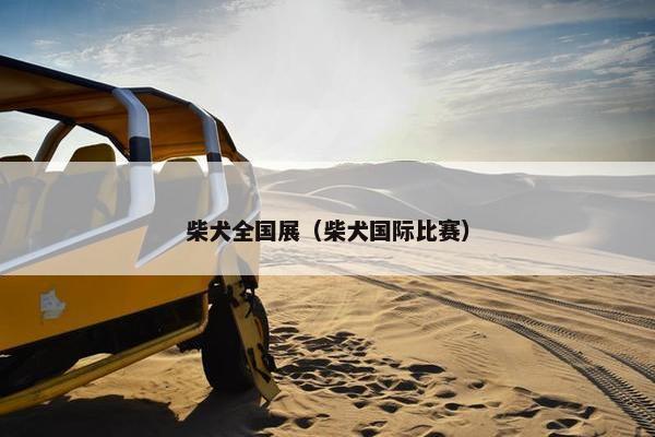 柴犬全国展（柴犬国际比赛）