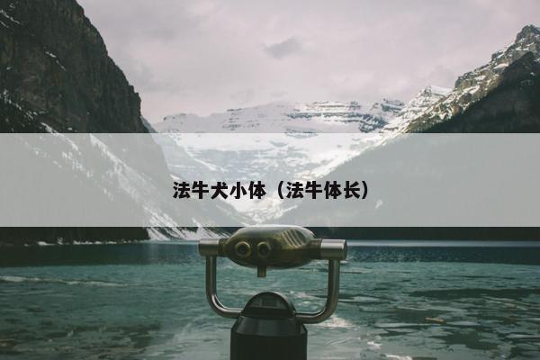 法牛犬小体（法牛体长）