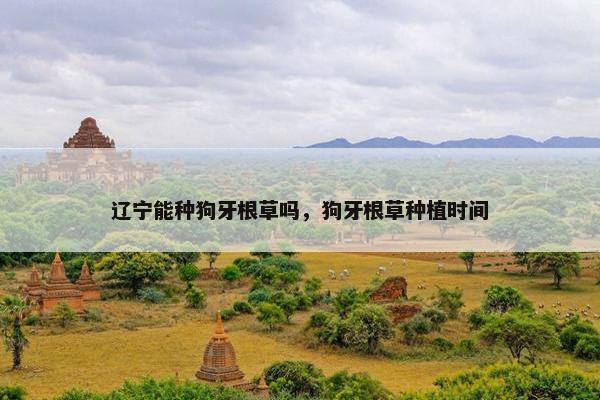 辽宁能种狗牙根草吗，狗牙根草种植时间