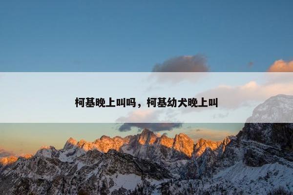 柯基晚上叫吗，柯基幼犬晚上叫