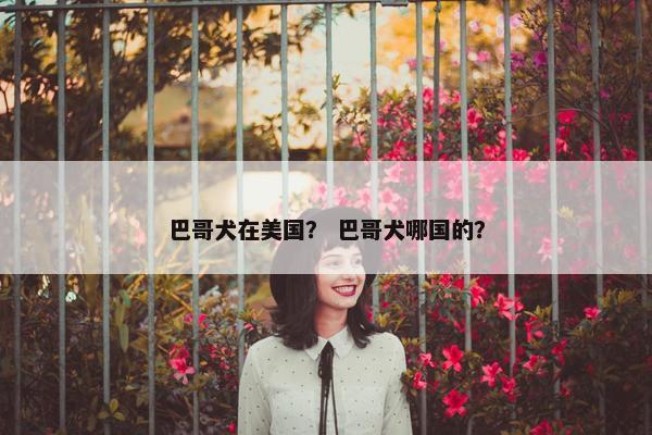 巴哥犬在美国？ 巴哥犬哪国的？