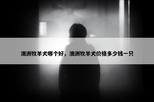 澳洲牧羊犬哪个好，澳洲牧羊犬价格多少钱一只