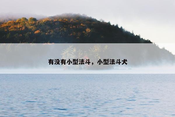 有没有小型法斗，小型法斗犬