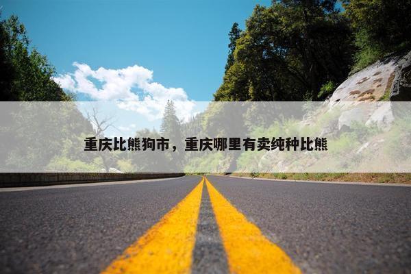 重庆比熊狗市，重庆哪里有卖纯种比熊