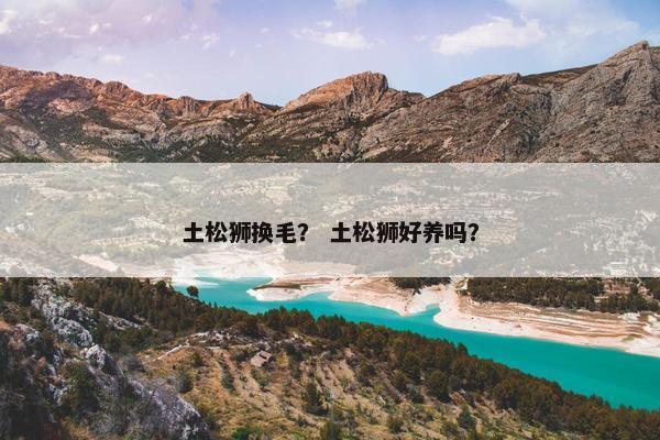 土松狮换毛？ 土松狮好养吗？