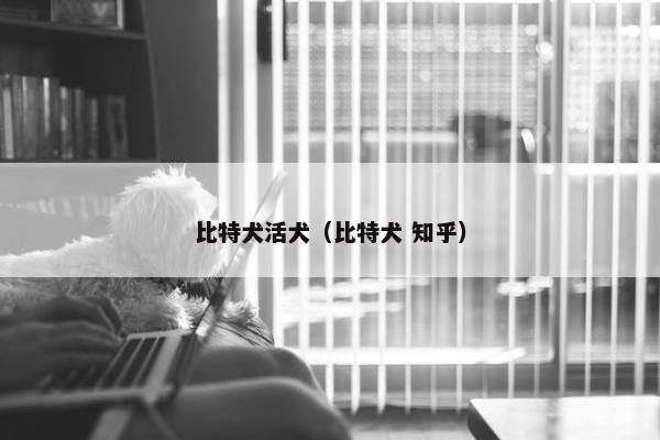比特犬活犬（比特犬 知乎）